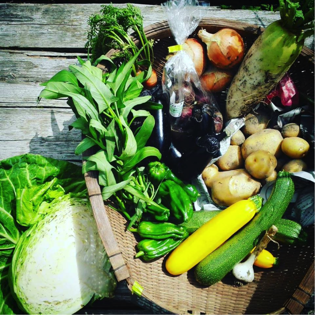 Farmrootsの野菜