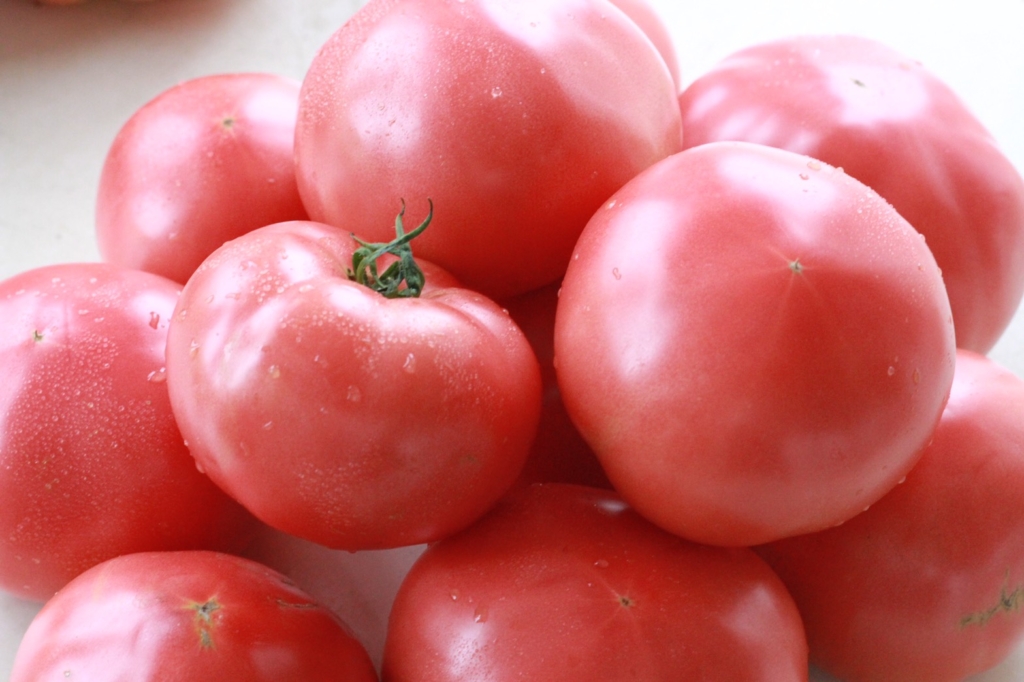 阿部農園のトマト